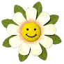 happy_daisy_lg_clr.gif